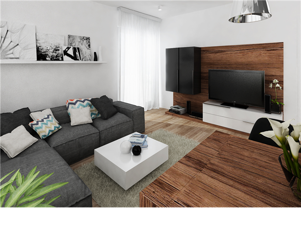 Image for Vesna Blagojevic's project Living room
