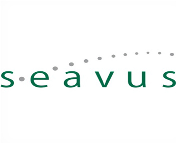 Image for Sasa Starcevic's project Seavus - ChatBot Platform