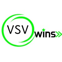 VSV WINS INC logo