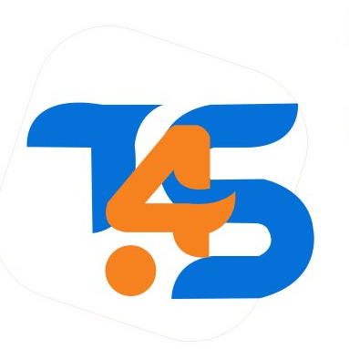 Team4Solution logo